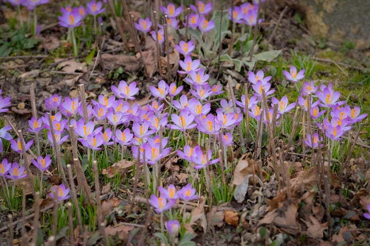 Foto 29 van Hoenlo 27