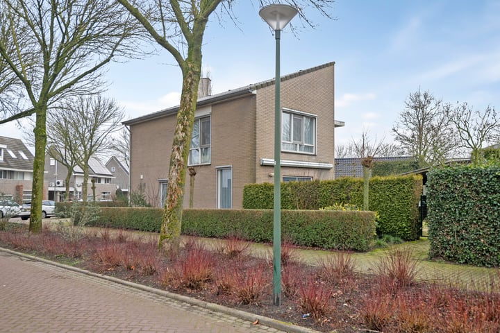 Foto 7 van Steilrand 4