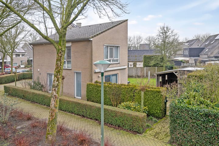 Foto 1 van Steilrand 4