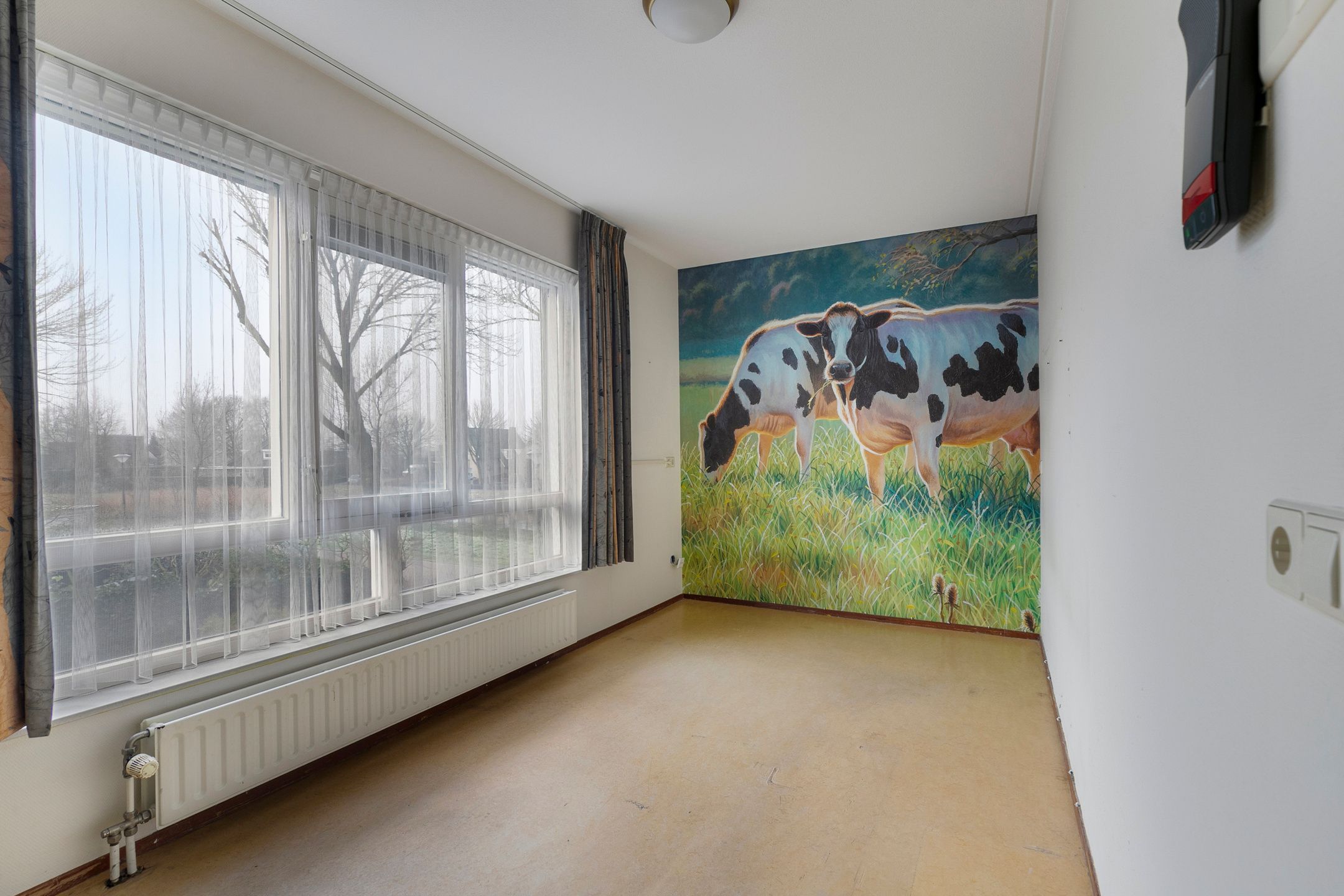 Photo 21 of Steilrand 4