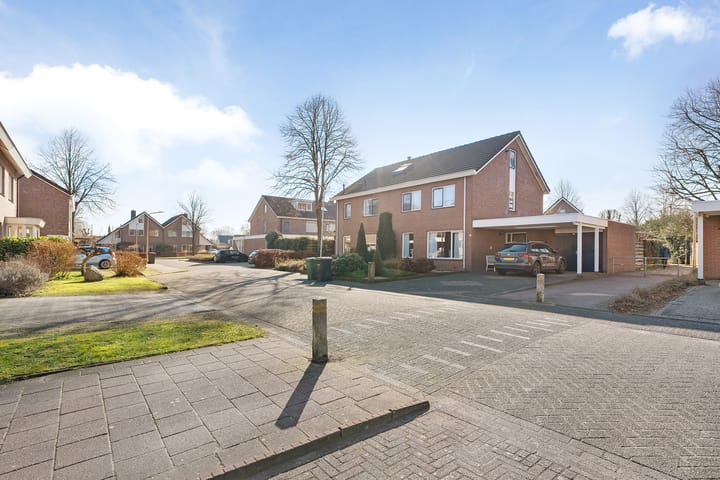 Foto 3 van Tuinfluiter 10