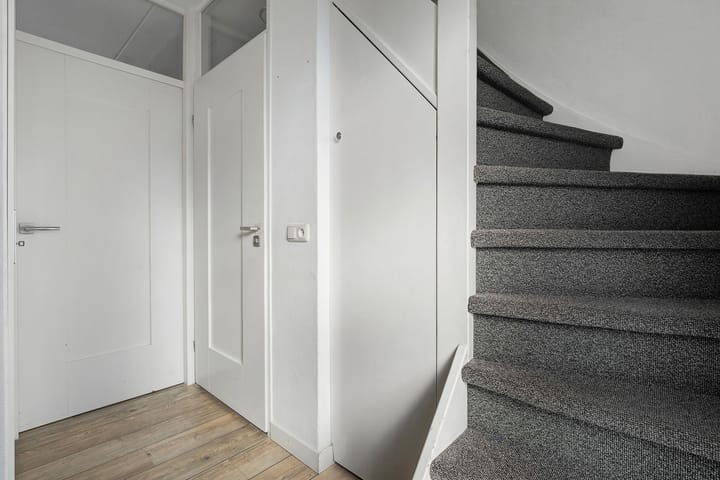 Foto 9 van Tuinfluiter 10