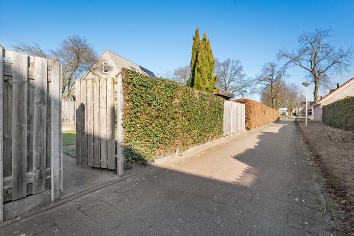 Foto 49 van Tuinfluiter 10