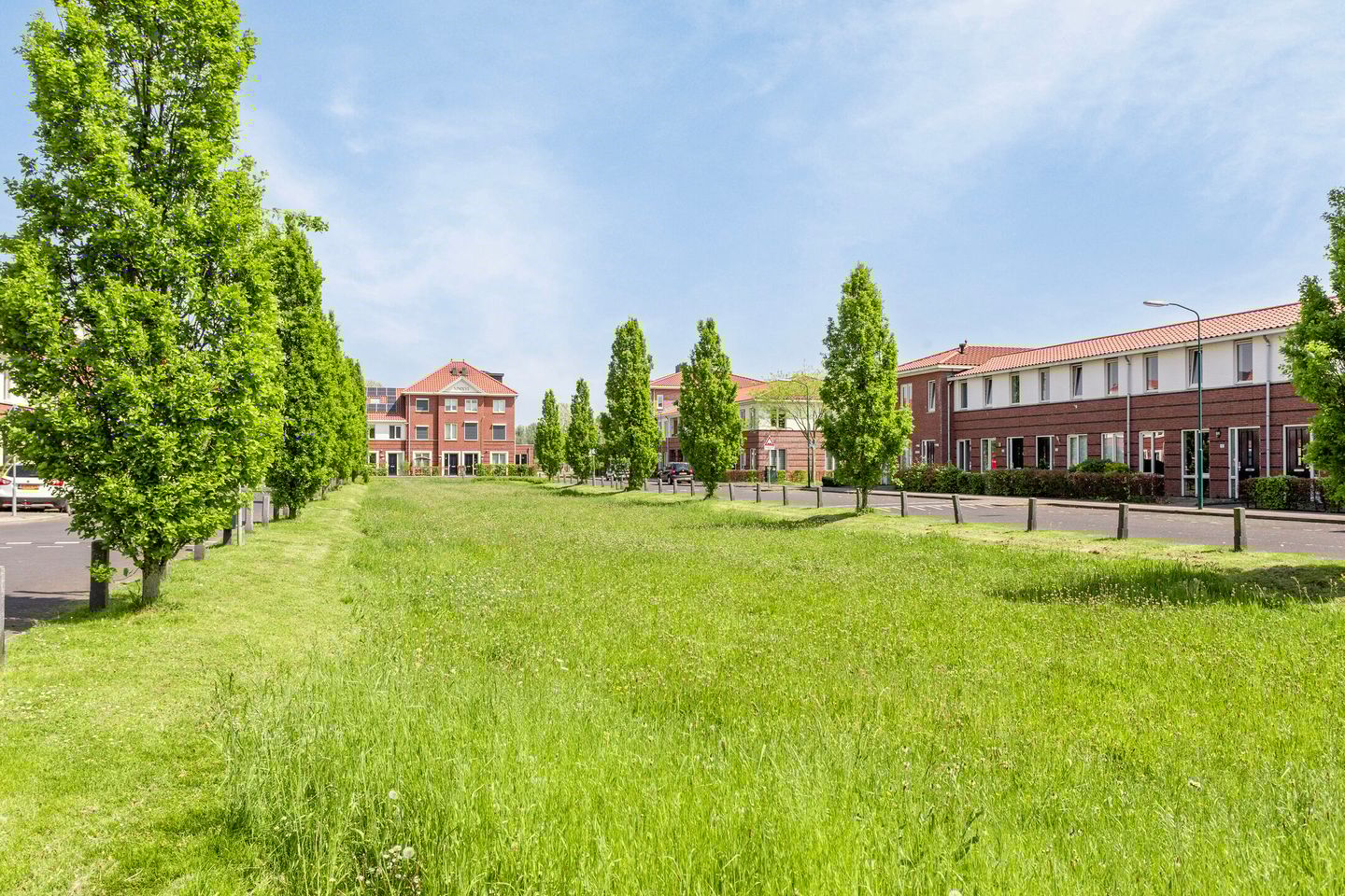 Foto 5 van Remus 160