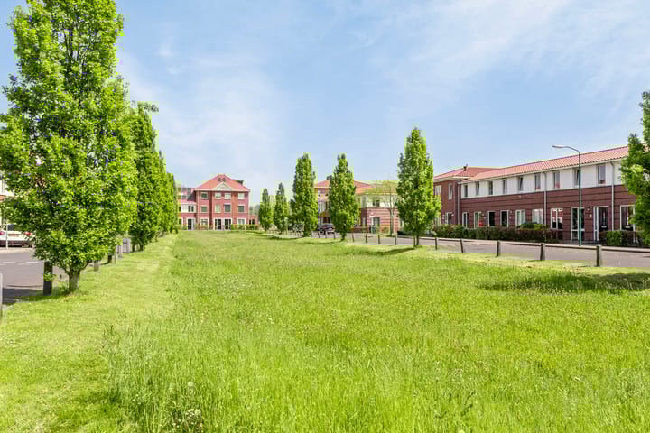 Foto 5 van Remus 160