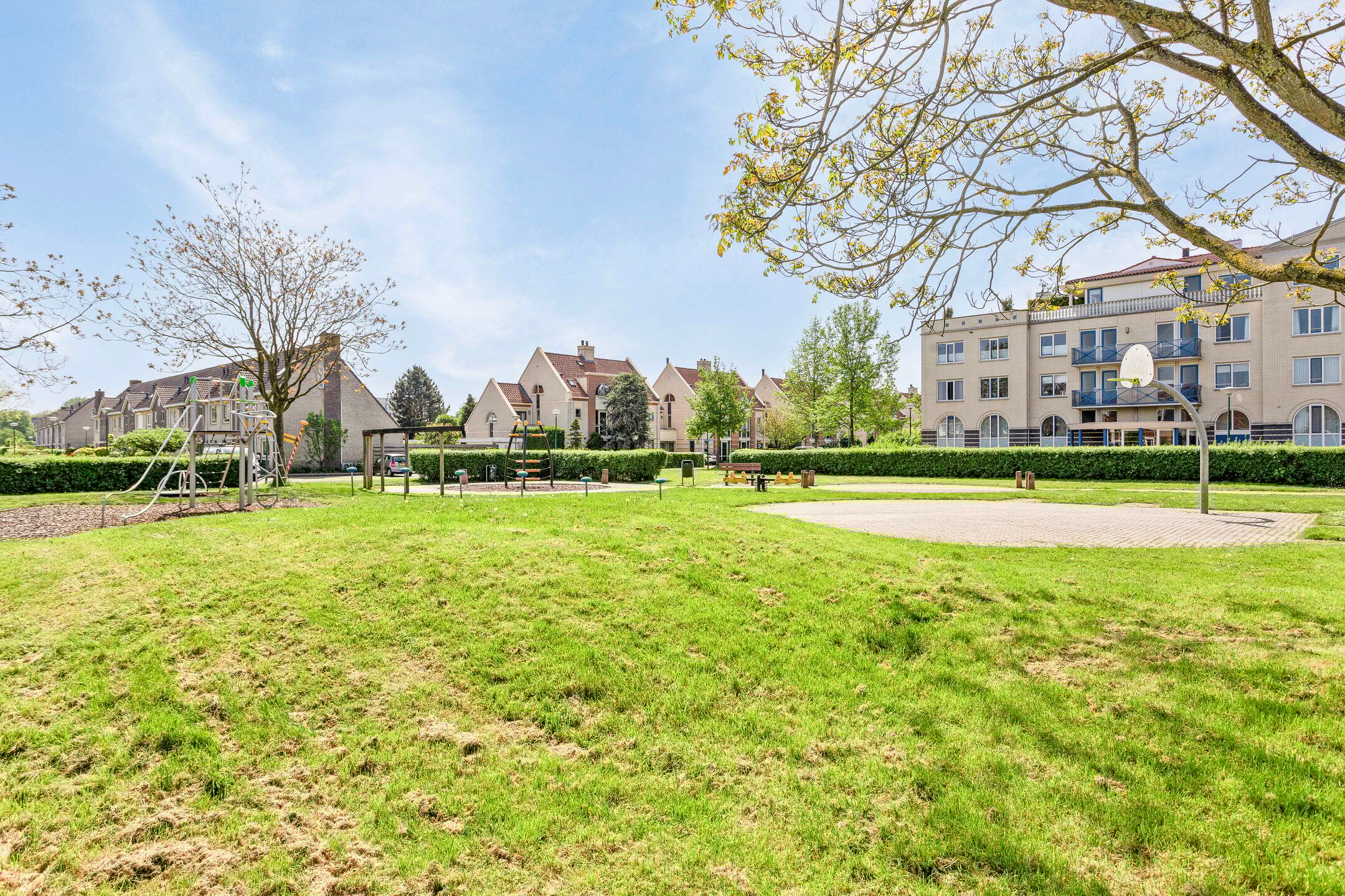 Foto 6 van Remus 160