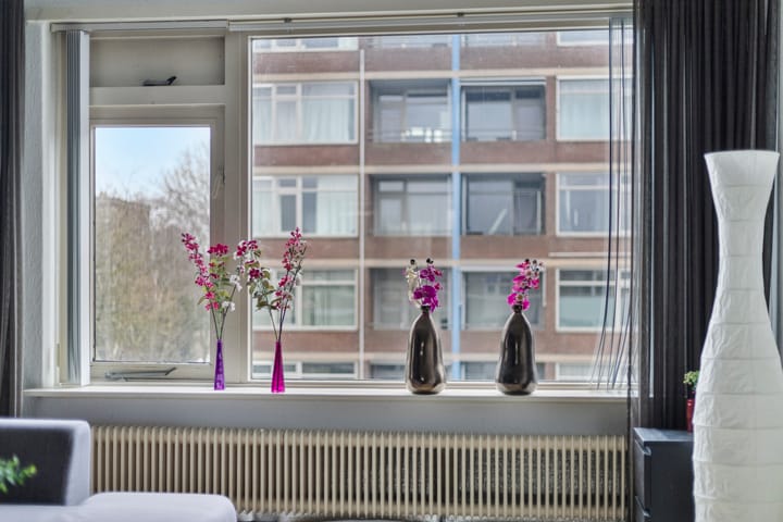 Foto 18 van Plutolaan 76