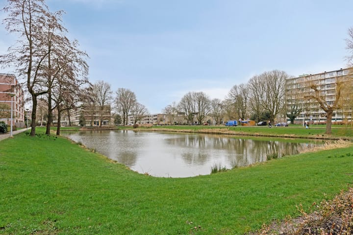 Foto 49 van Plutolaan 76