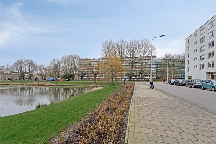 Foto 50 van Plutolaan 76