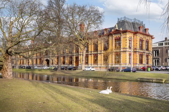 Foto 31 van Noordsingel 113-U