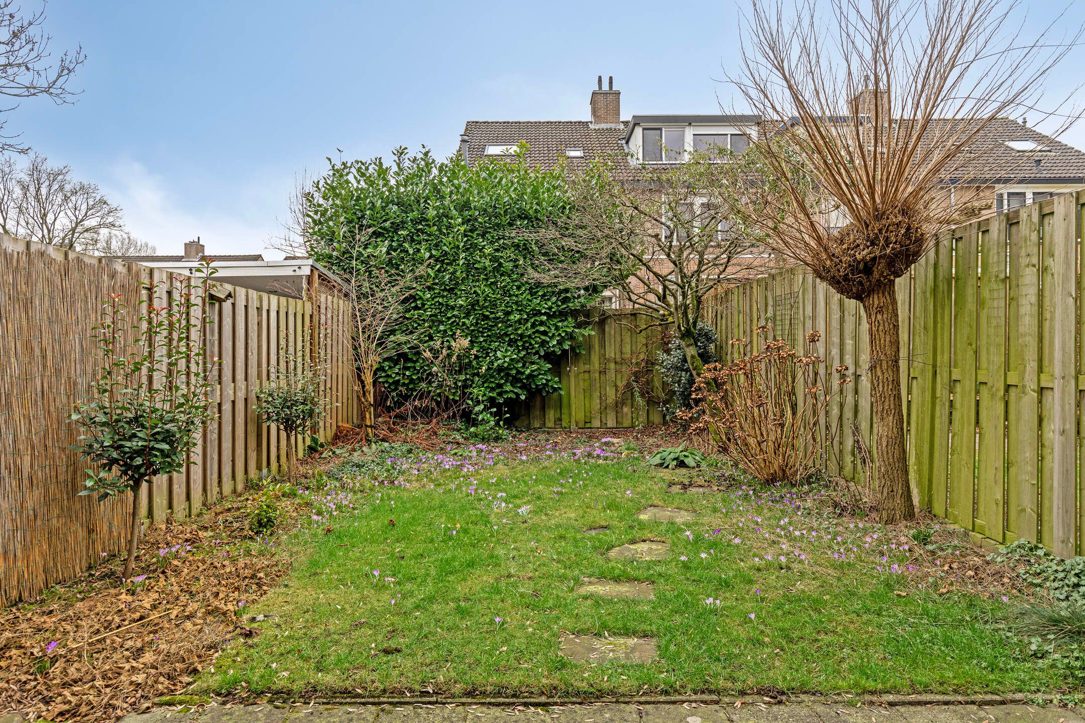 Foto 15 van Lievensweg 29