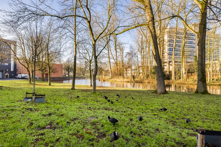 Foto 31 van Plantsoen 96