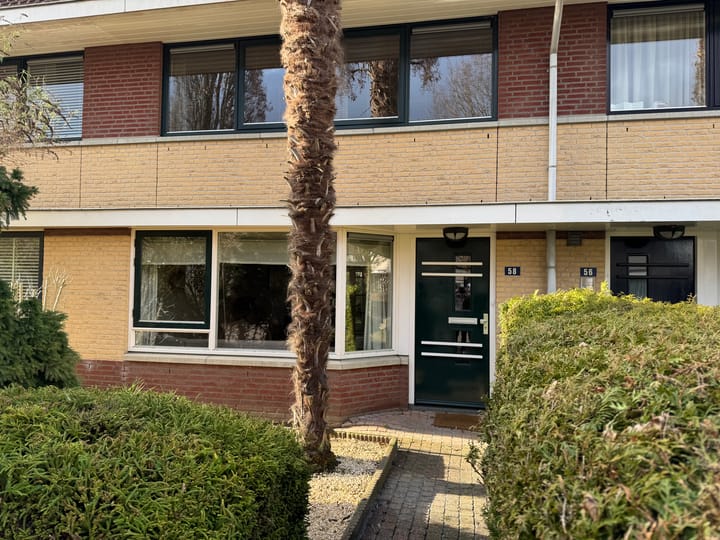 Photo 7 of Colmarstraat 58