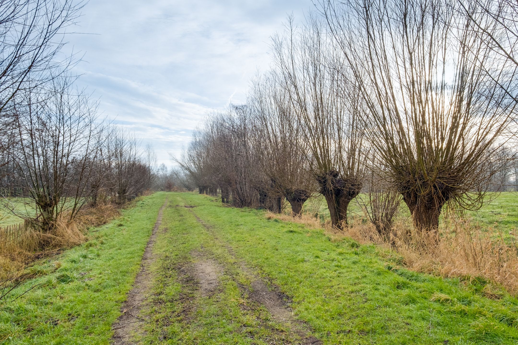 Foto 30 van Diepenheimseweg 70