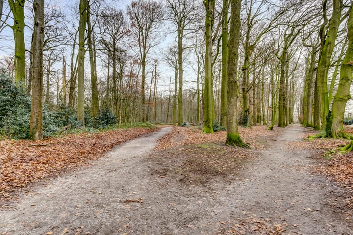 Foto 35 van van Reedeweg 92