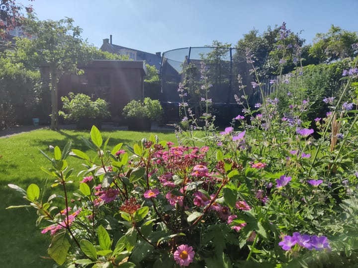 Foto 52 van Kolland 37