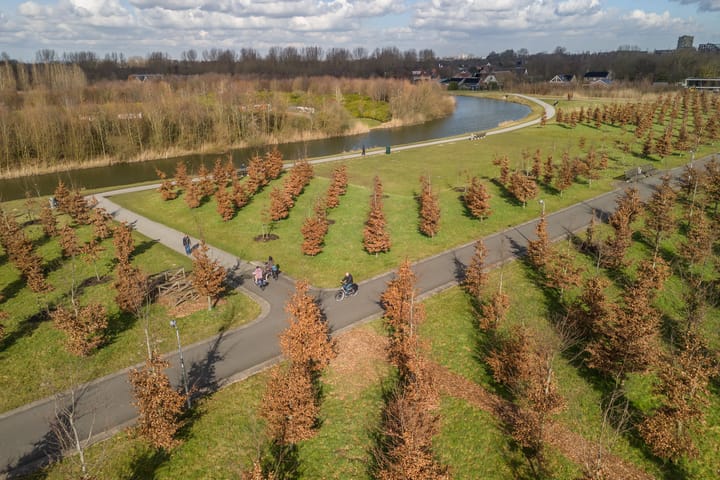 Foto 64 van Kolland 37