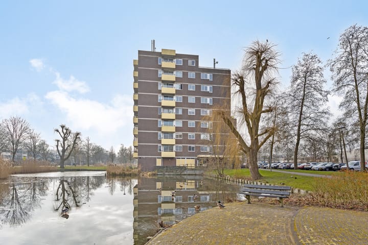 Bekijk foto van Madelief 76