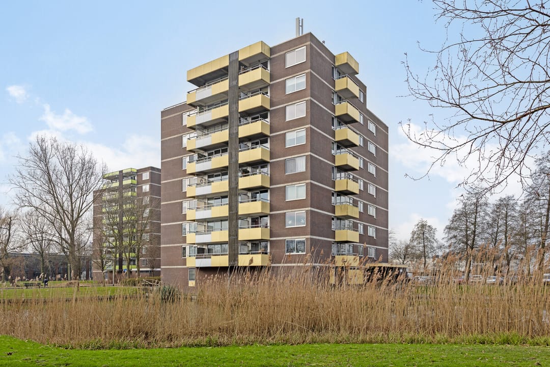 Foto 2 van Madelief 76