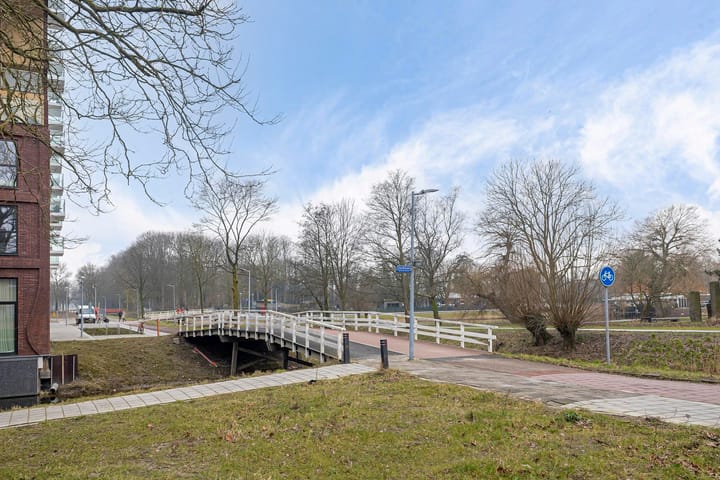 Foto 29 van Niemeyerstraat 46