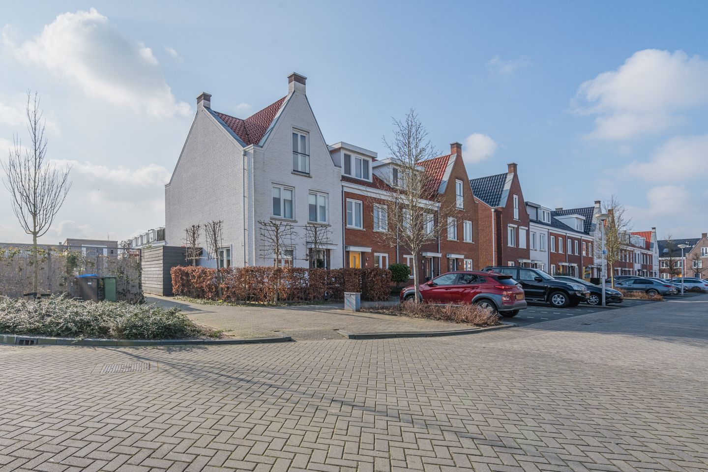 Foto 1 van Penningkruid 2