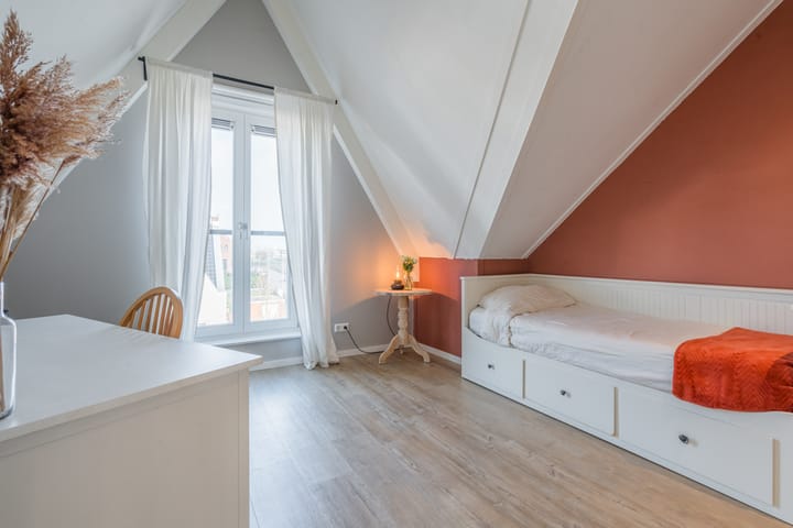 Foto 5 van Penningkruid 2