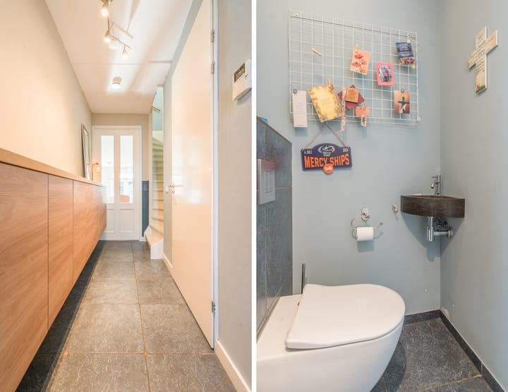 Foto 11 van Penningkruid 2