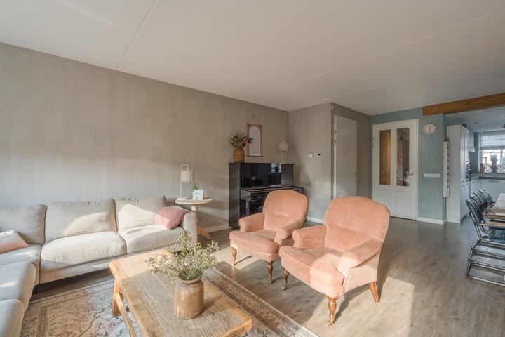 Foto 14 van Penningkruid 2