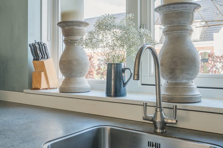 Foto 23 van Penningkruid 2