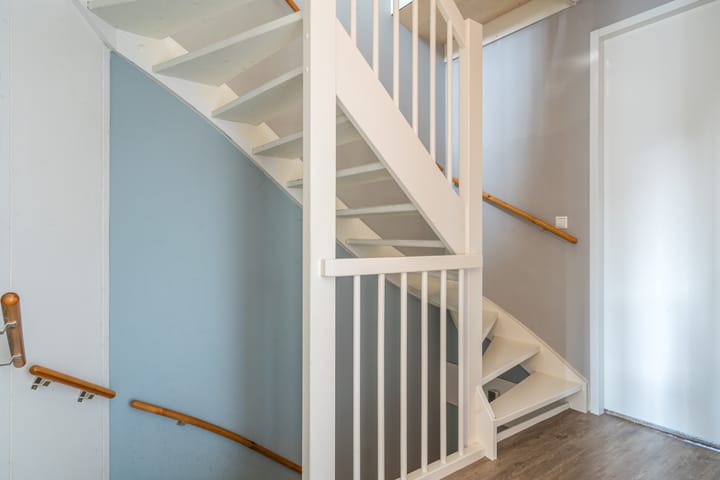 Foto 25 van Penningkruid 2