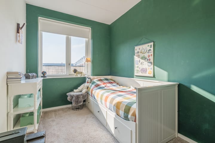 Foto 28 van Penningkruid 2