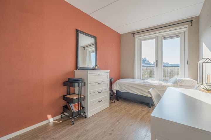 Foto 30 van Penningkruid 2