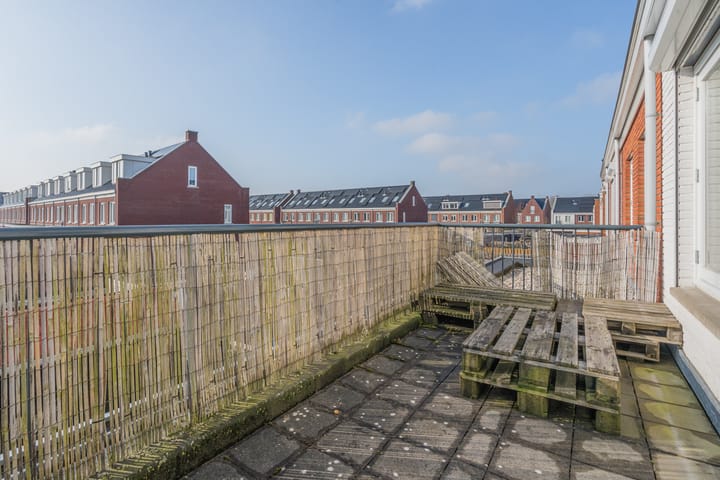 Foto 32 van Penningkruid 2