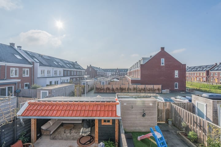 Foto 33 van Penningkruid 2