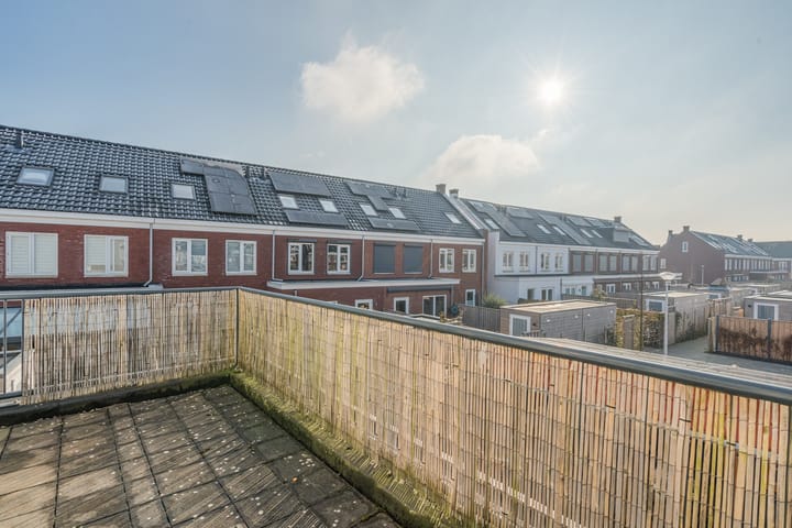 Foto 34 van Penningkruid 2