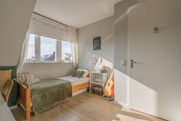 Foto 46 van Penningkruid 2