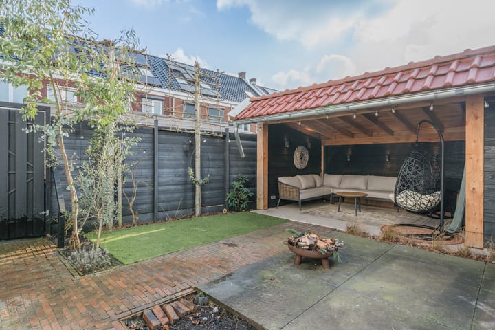 Foto 47 van Penningkruid 2