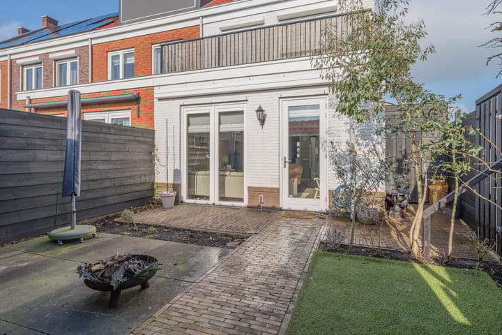 Foto 49 van Penningkruid 2