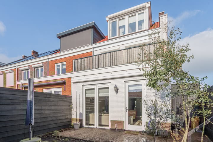 Foto 50 van Penningkruid 2