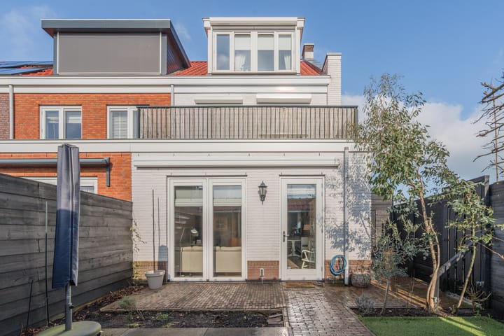 Foto 51 van Penningkruid 2