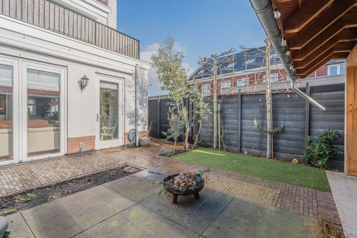 Foto 53 van Penningkruid 2