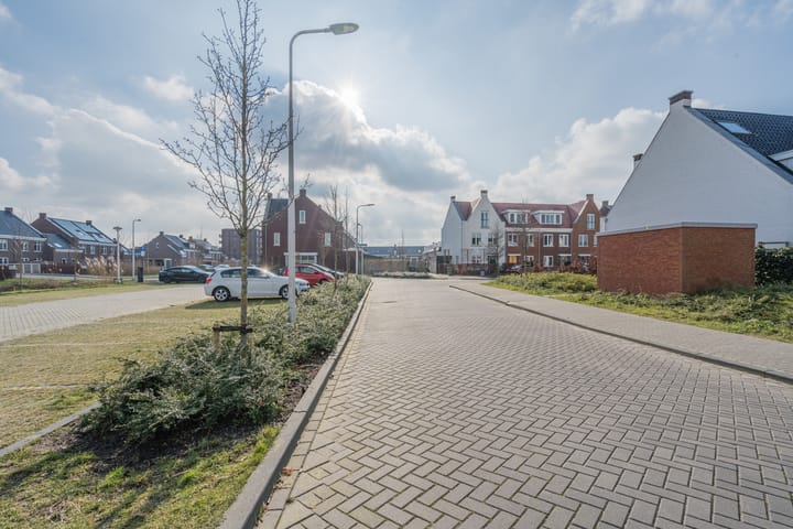 Foto 57 van Penningkruid 2