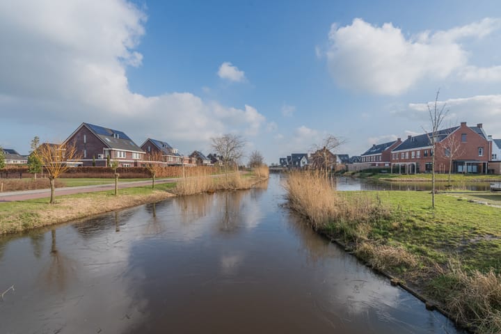 Foto 58 van Penningkruid 2