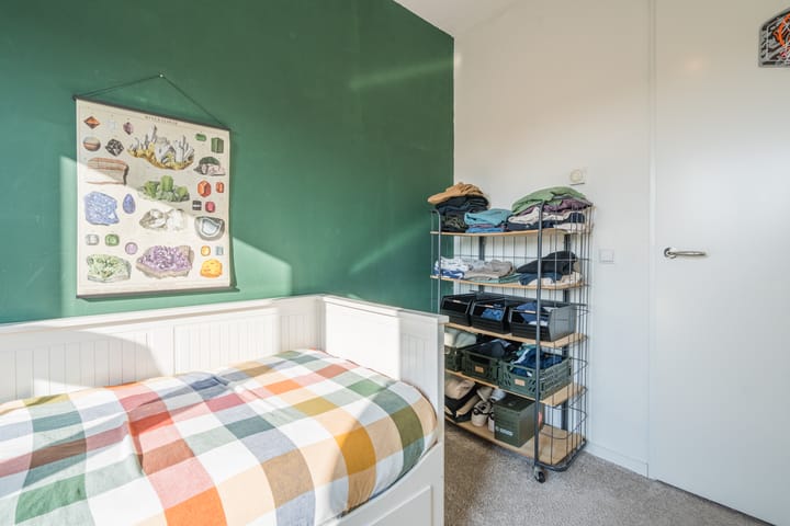 Foto 29 van Penningkruid 2