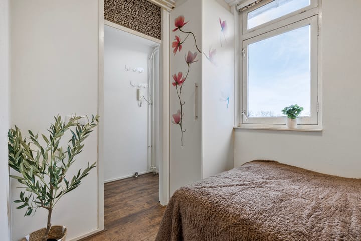 Photo 12 of Binnenhof 27