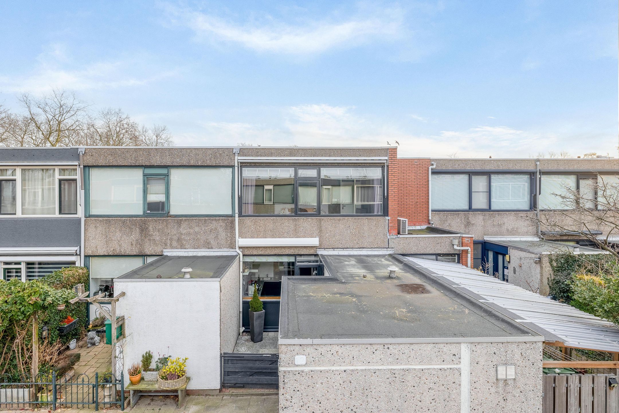 Foto 6 van Ivoordistel 12