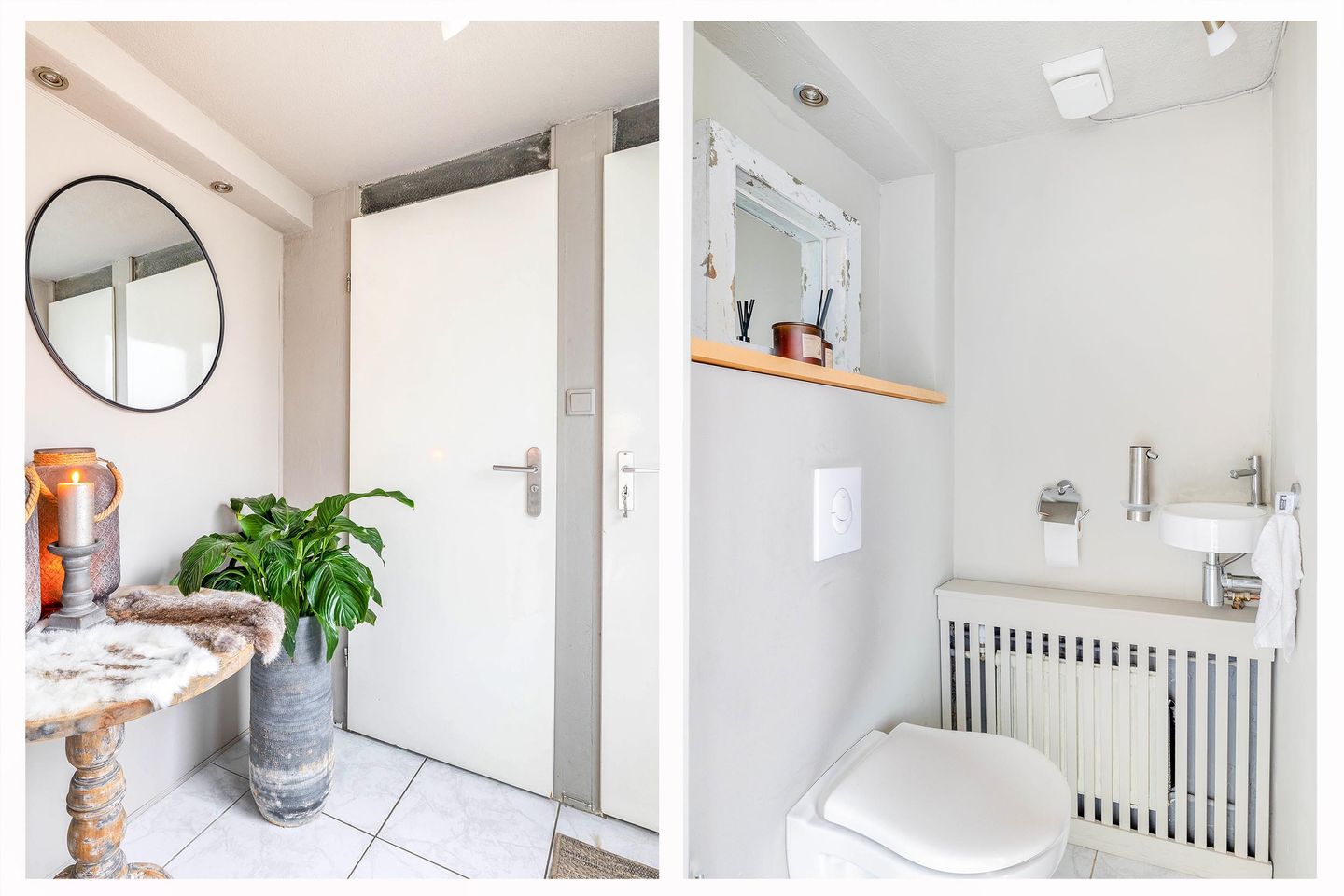 Foto 10 van Ivoordistel 12