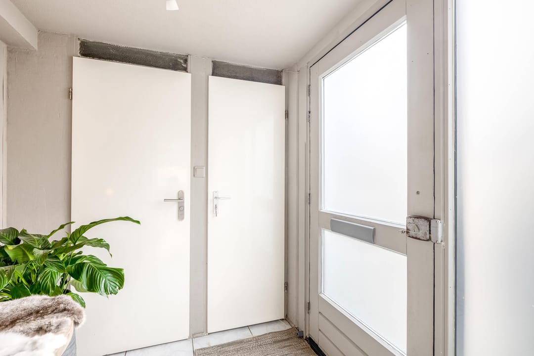 Foto 11 van Ivoordistel 12