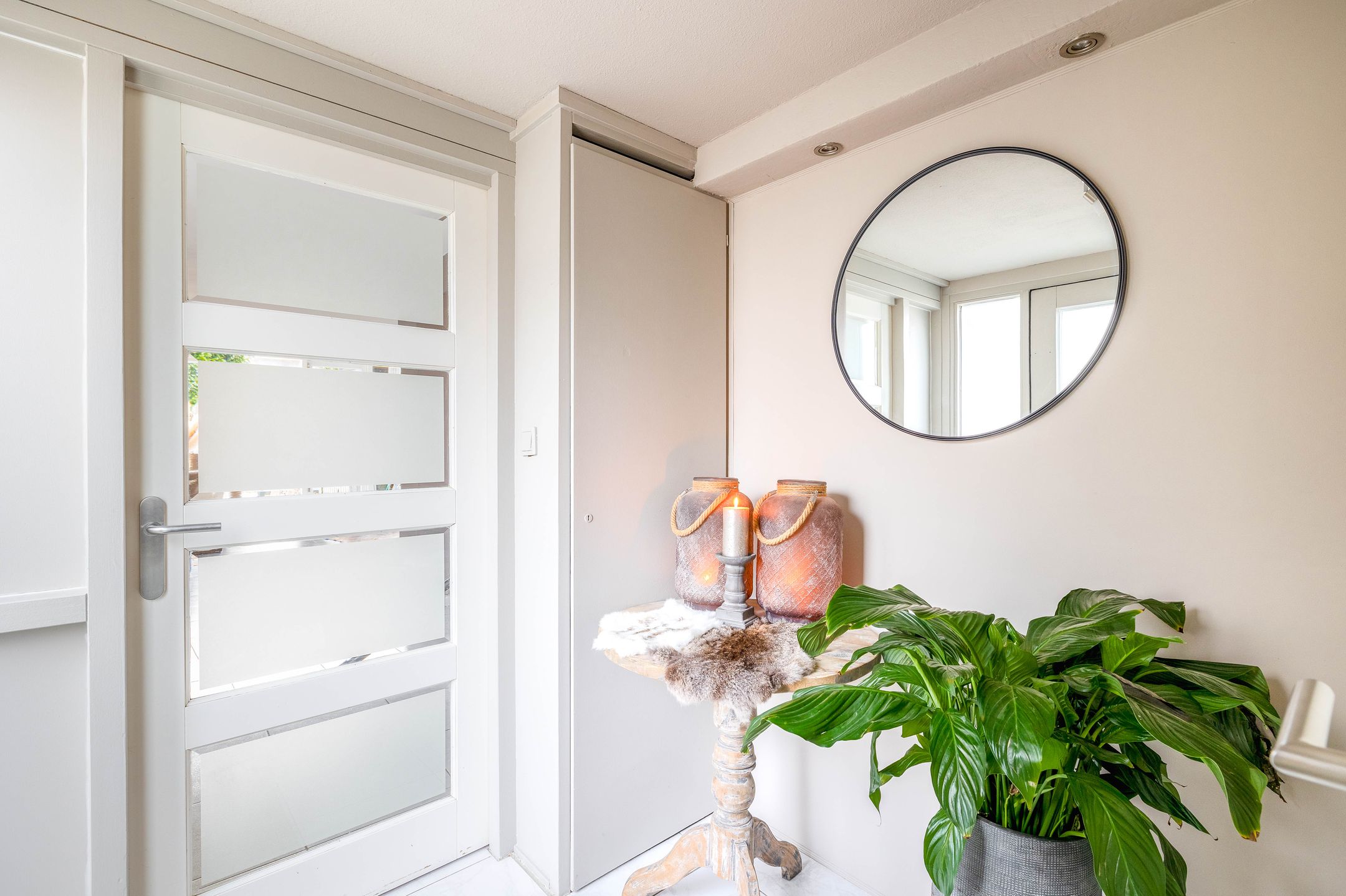 Foto 12 van Ivoordistel 12