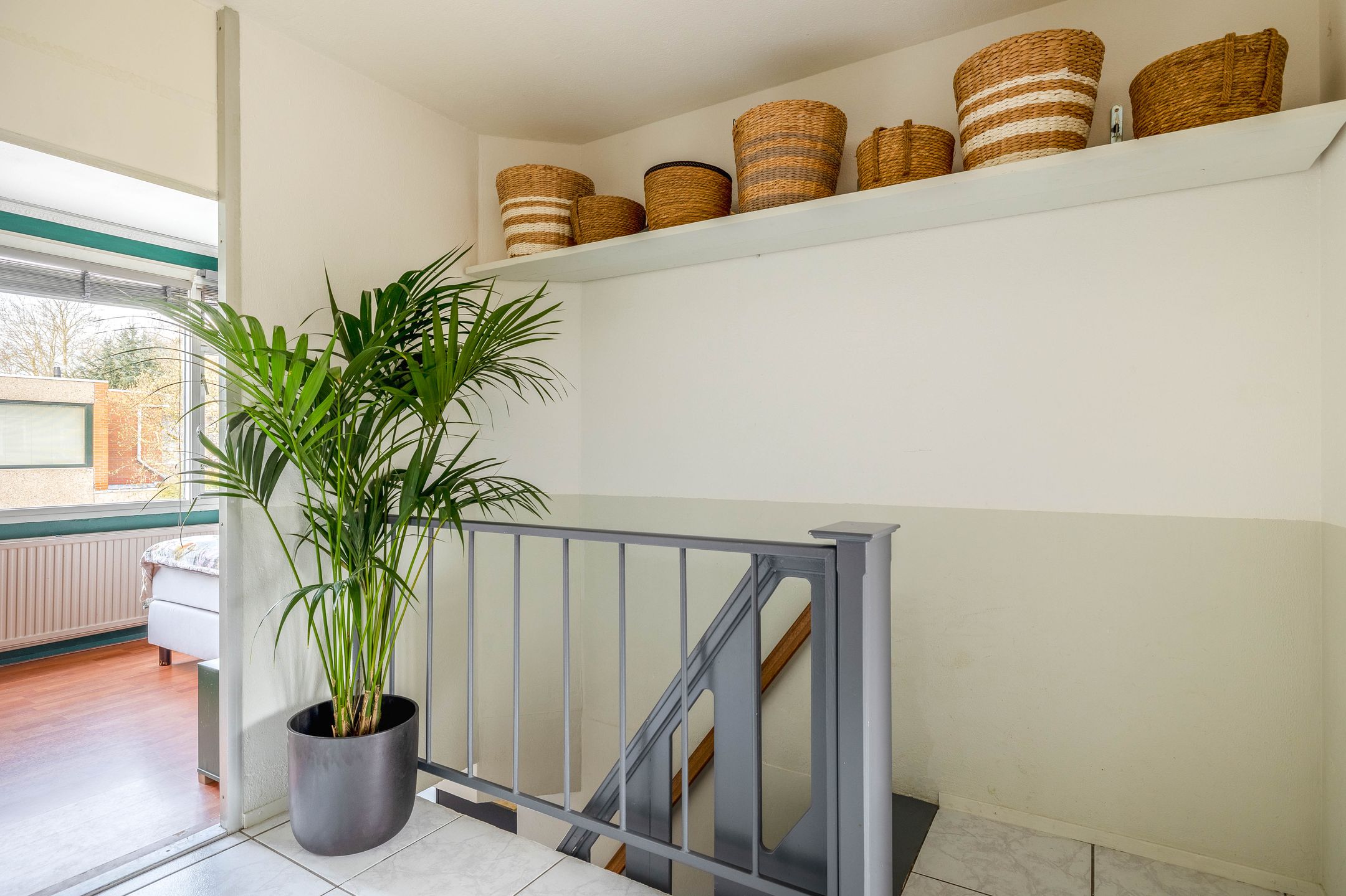 Foto 27 van Ivoordistel 12